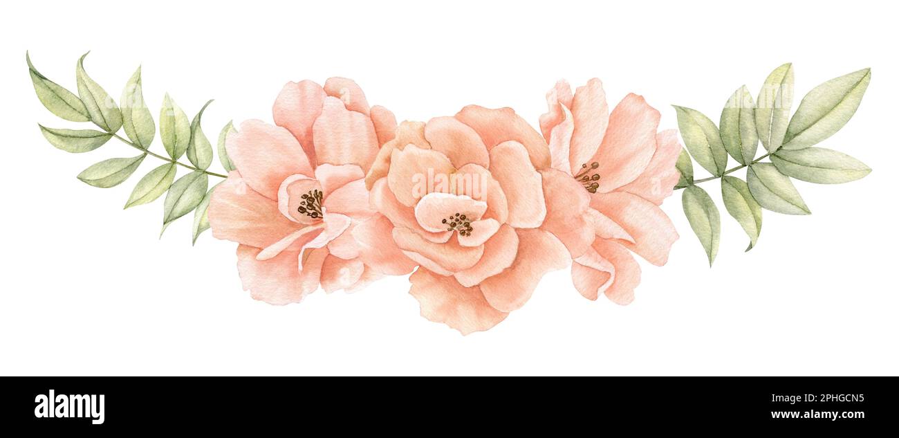 Aquarell Rosenblumen. Handgezeichnete Blumenzeichnung blühender Pflanzen auf isoliertem Hintergrund für Grußkarten oder Hochzeitseinladungen in Pastellbeige und Pink. Botanische Zusammensetzung. Stockfoto
