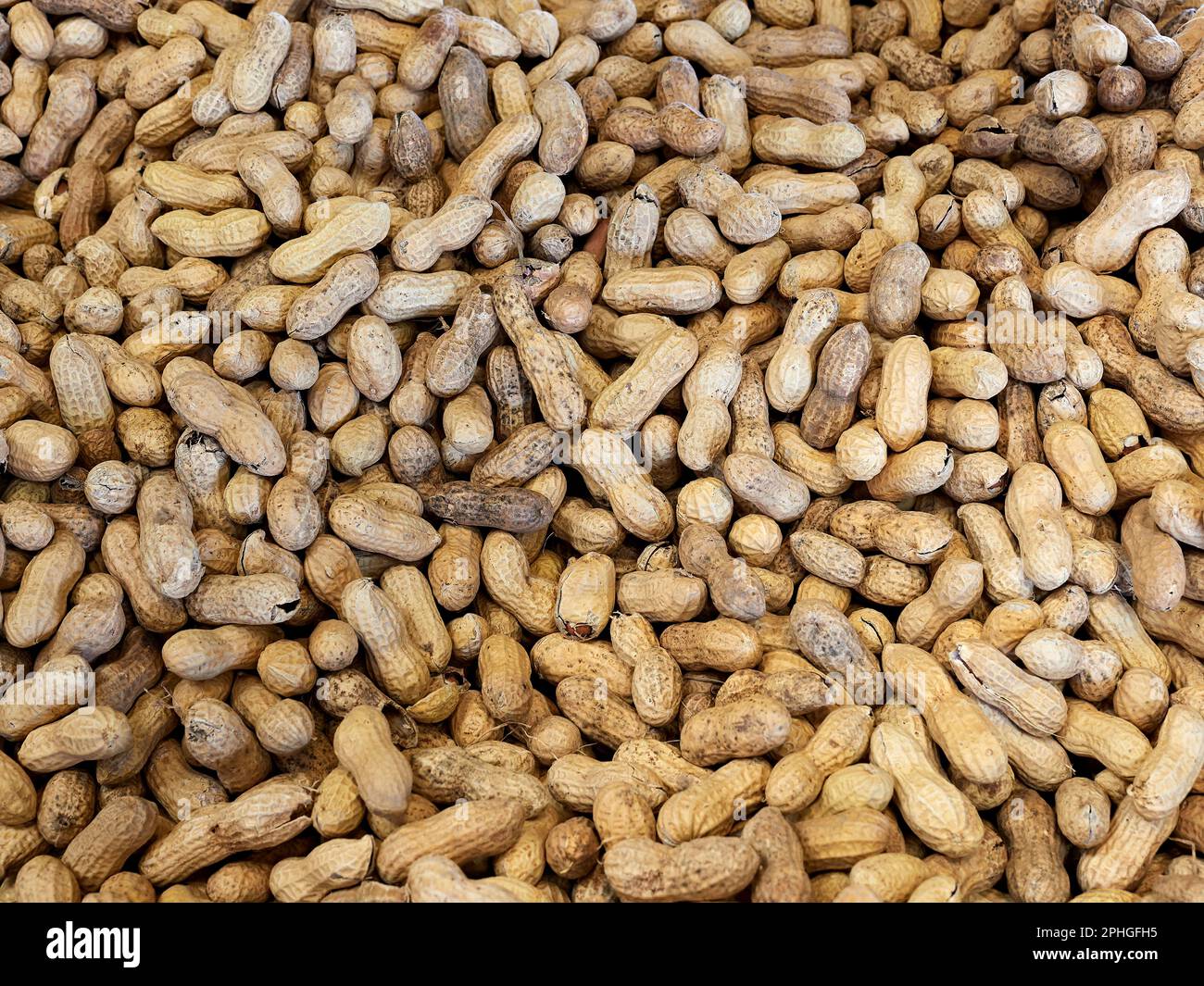 Frische ganze Erdnüsse in Erdnussschalen zum Verkauf auf einem Bauernmarkt in Montgomery, Alabama, USA. Stockfoto