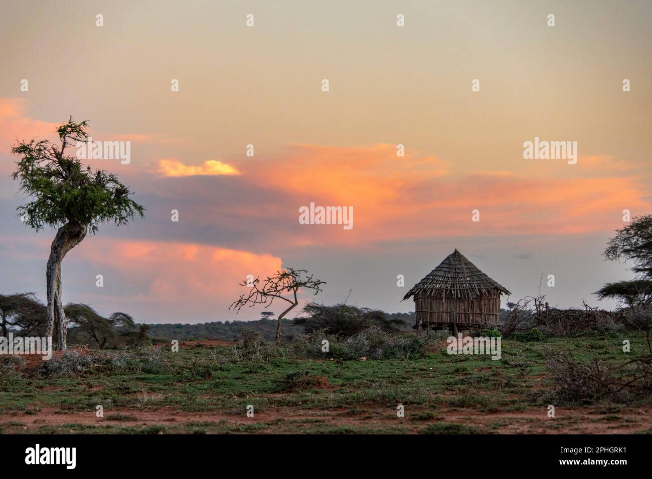 Eine einzige Hütte steht auf den Ebenen der Region Borena im südlichen Äthiopien nahe Yabello bei Sonnenuntergang. Stockfoto