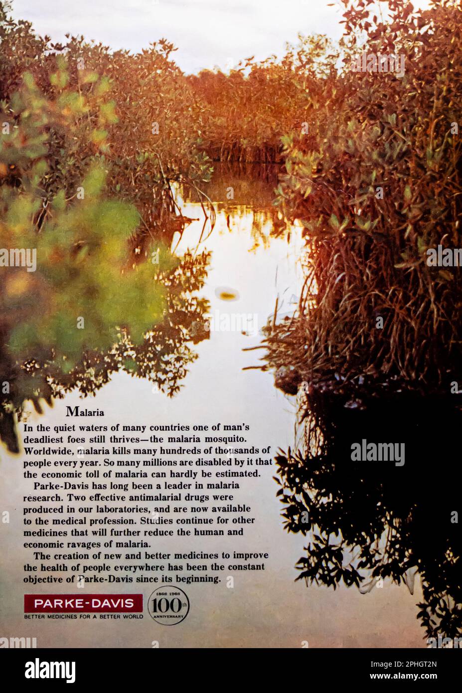 Parke-Davis Pharmaceutical Company Werbeanzeige in einem NatGeo Magazin, März 1966 Stockfoto