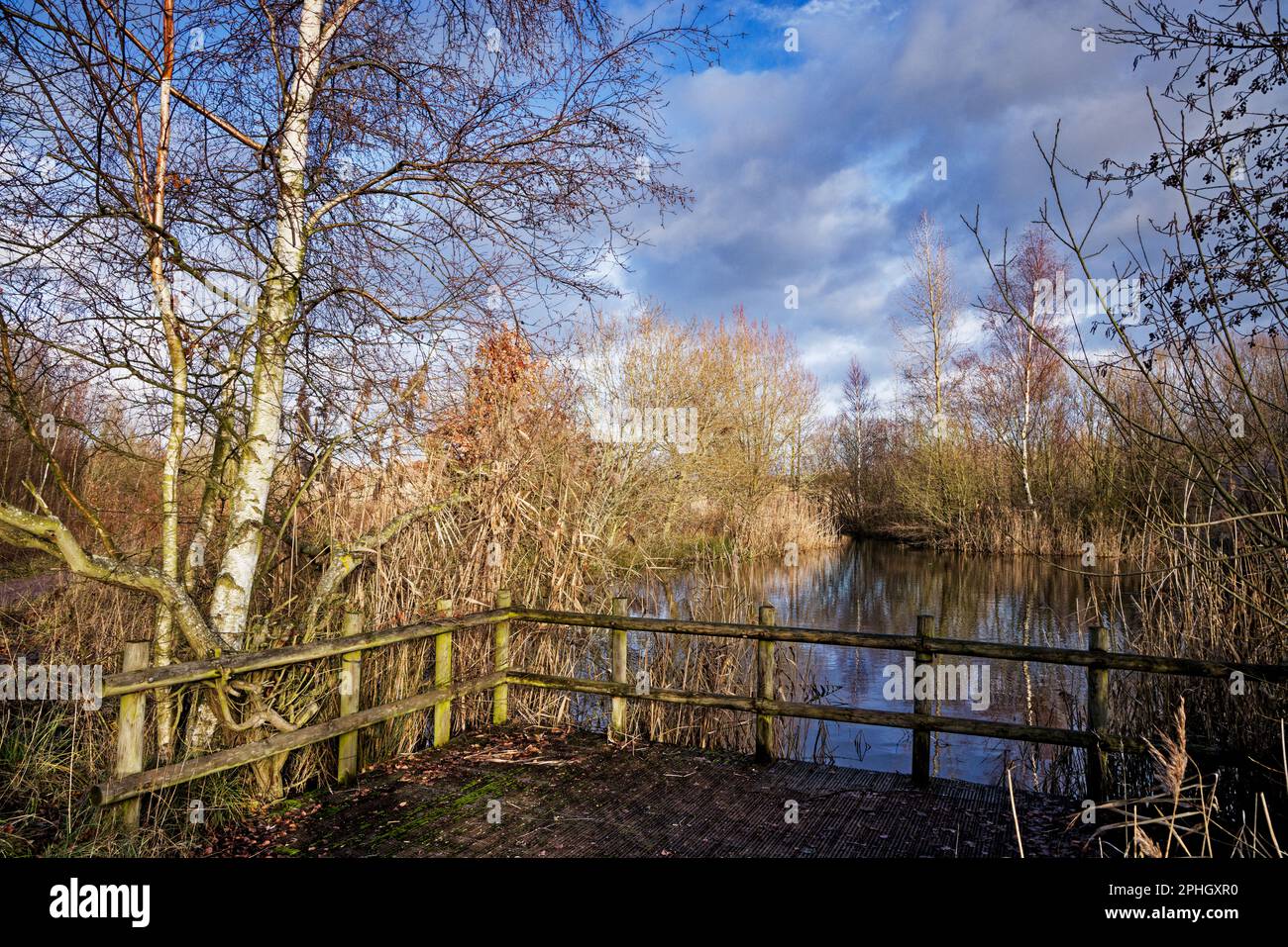 Old Moor, Dearne Valley Stockfoto