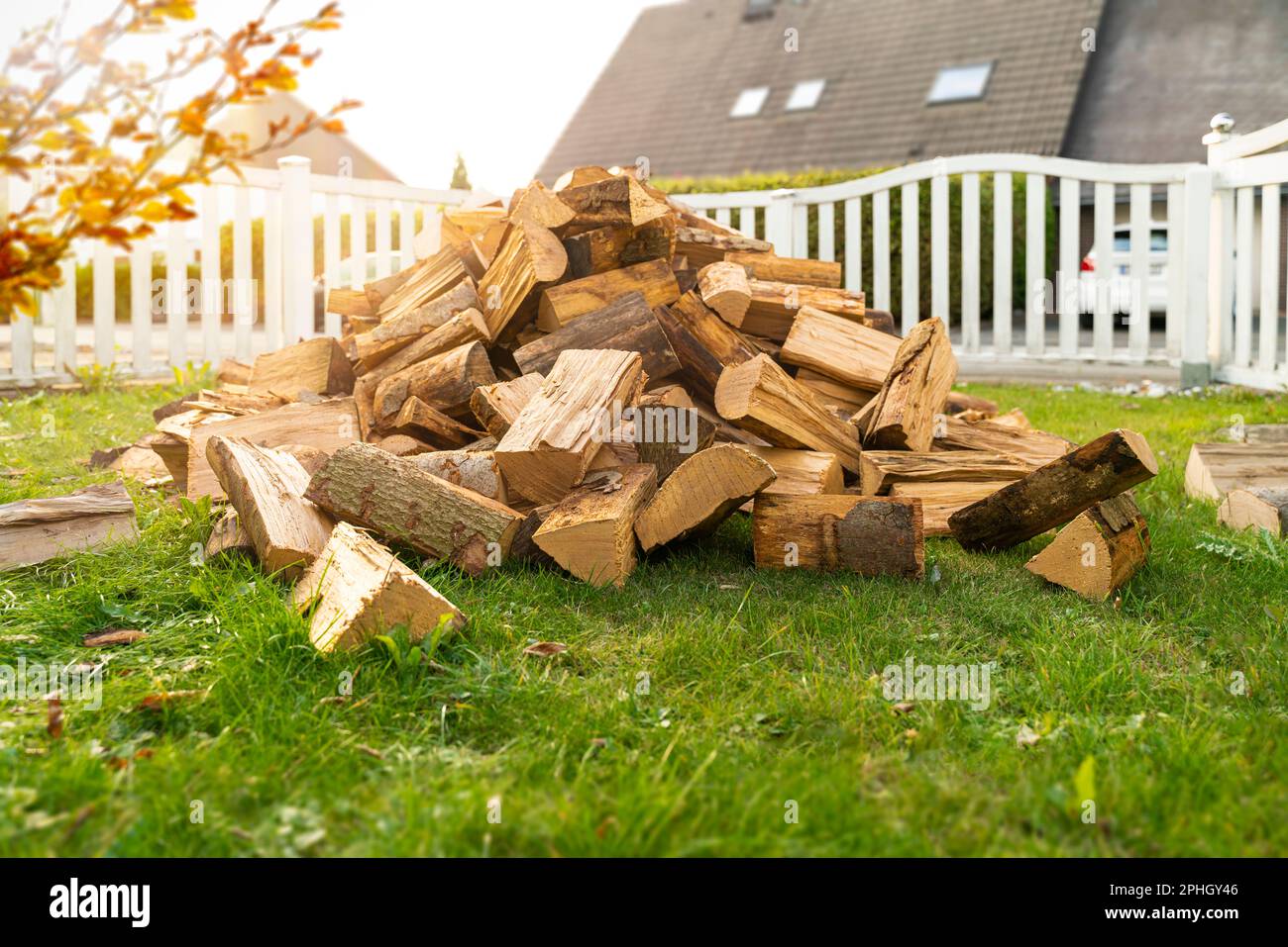 Ein Stapel trockener Buchenstämme wurde an den Vorhof geliefert. Es ist Herbst, und es wurde Brennholz für die Heizung im Winter beschafft. Stockfoto