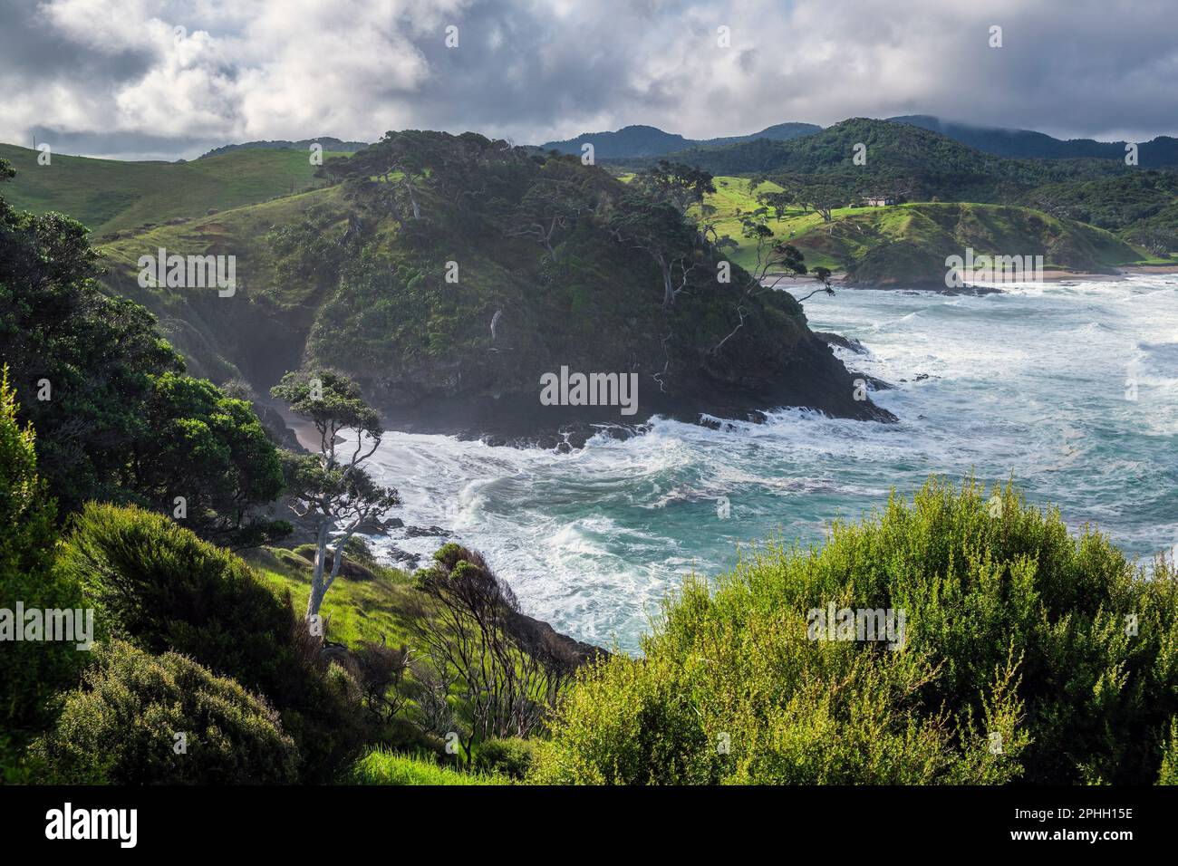 Blick über Taupiri Bay nach Elliot Bay, North Island, Neuseeland Stockfoto
