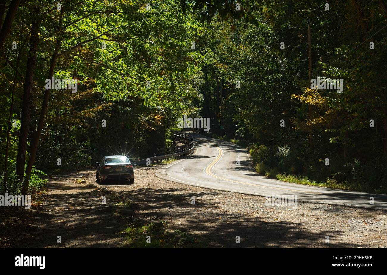 Ein einsames Auto befindet sich am Anfang des Herbstes an einer kurvenreichen Straße, die sich durch einen sonnendurchfluteten Wald schlängelt. Stockfoto