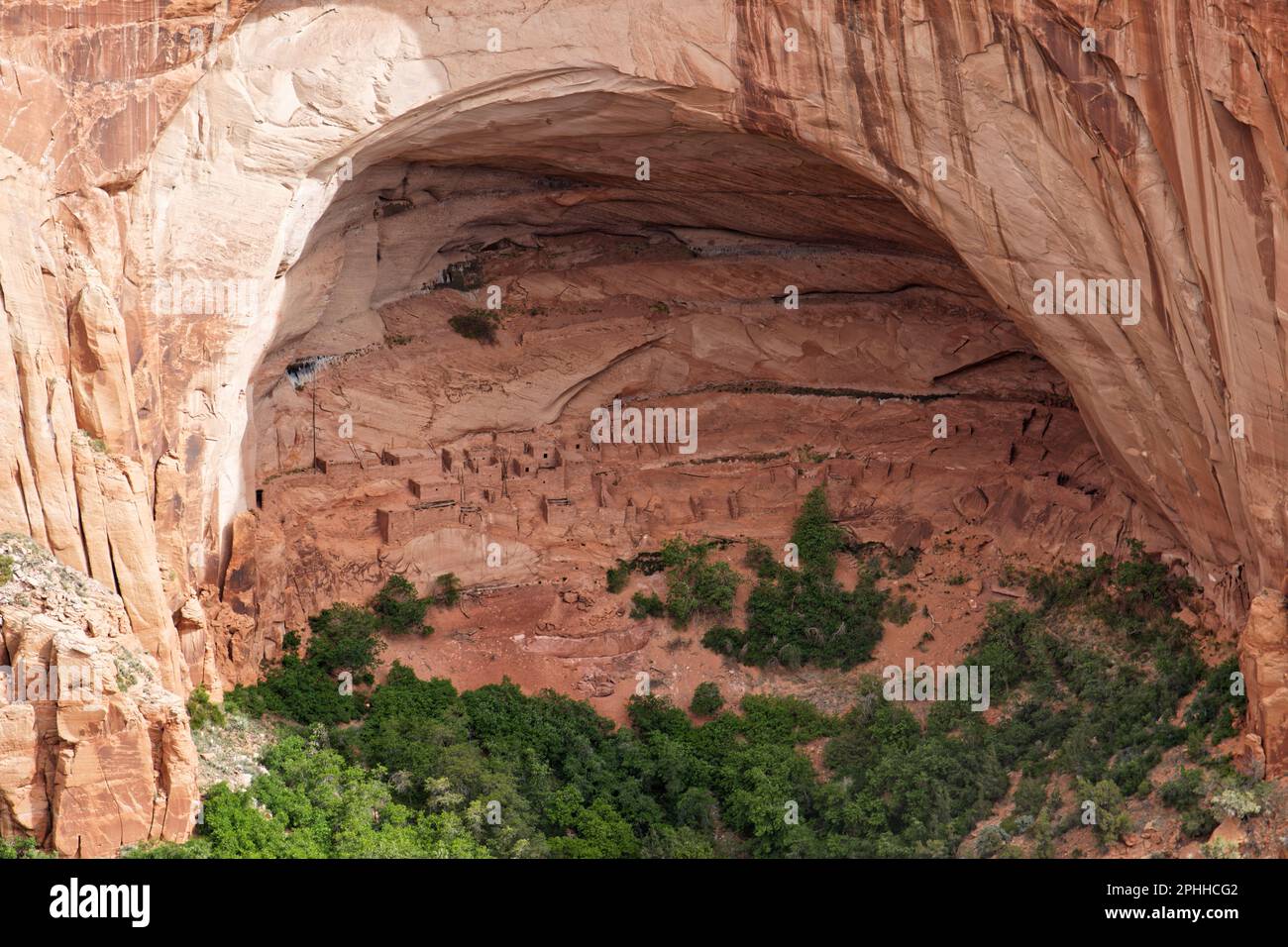 Blick auf die Klippensiedlung Betatakin (bedeutet „Haus auf dem Vorsprung“), die sich unter einer großen Felsenhalle in der Navajo Nation im Norden Arizonas, USA, befindet Stockfoto