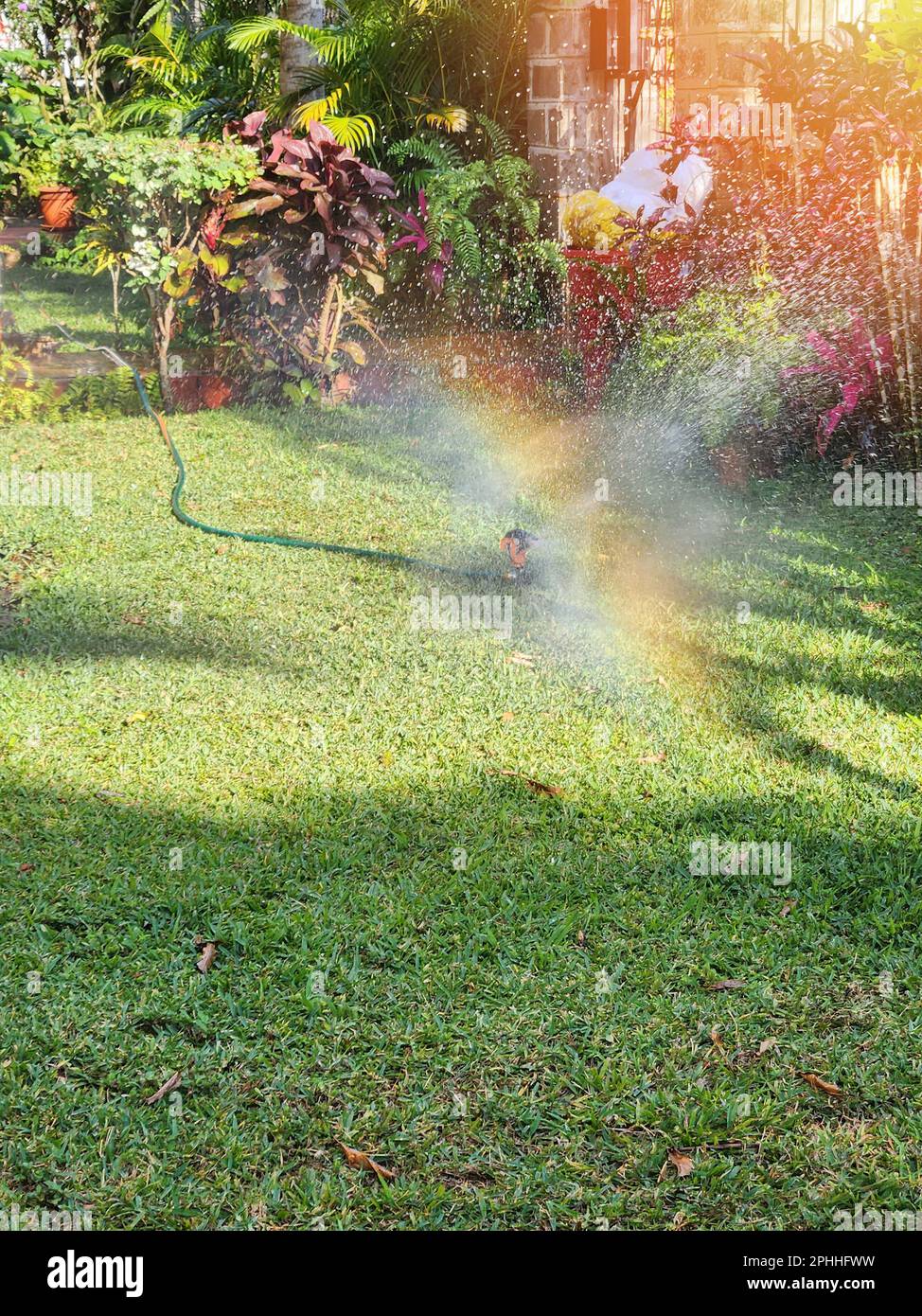 Sprinkler sprühen Wasser auf den Rasen des Hauses mit Regenbogen auf der Sonne Stockfoto