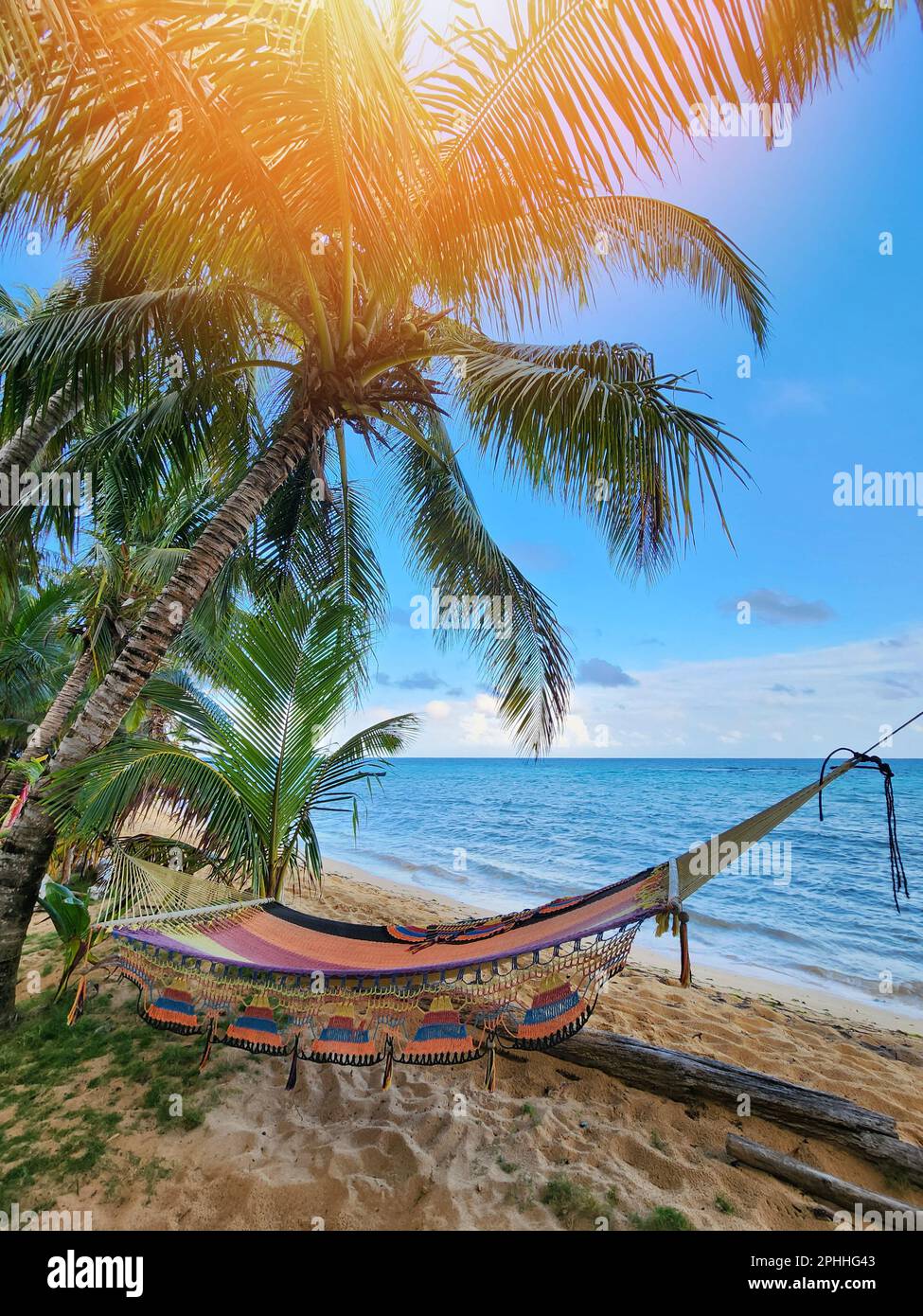 Hängematten hängen zwischen zwei Palmen auf blauem Meereshintergrund Stockfoto