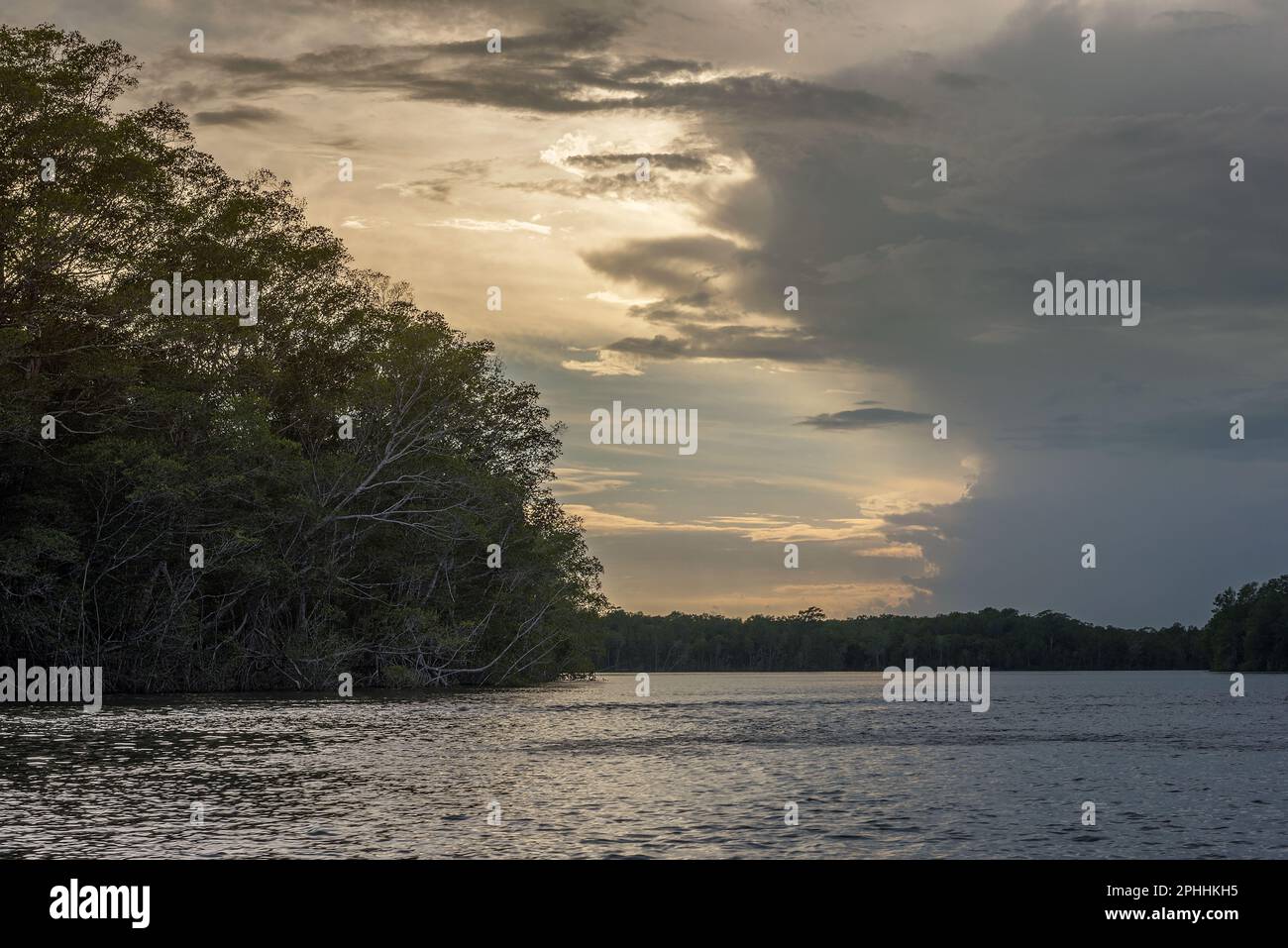 Der Chiriqui River, kurz bevor er in den Golf von Chiriqui, Panama, eindringt Stockfoto