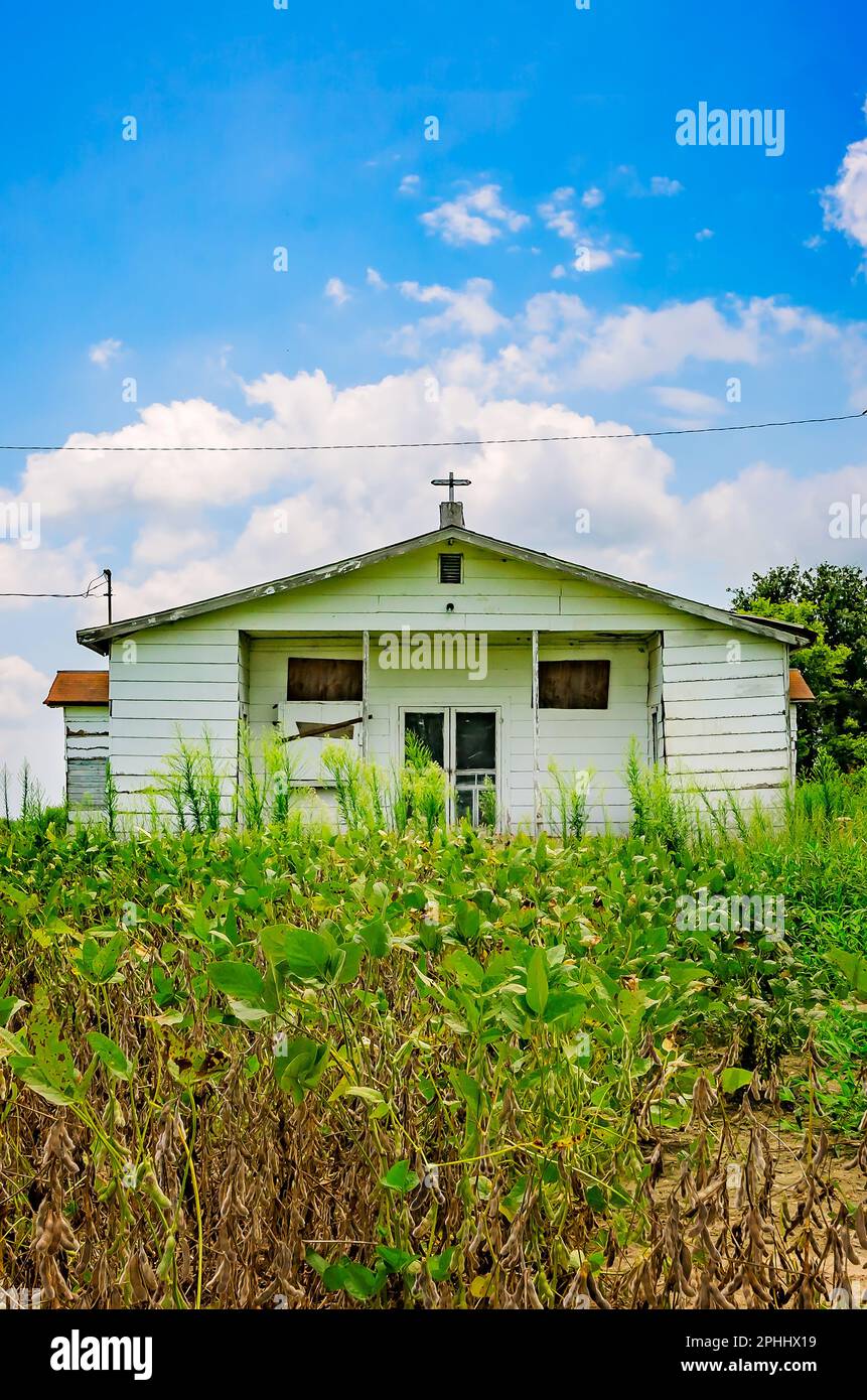 Die Green Grove Church liegt verlassen auf dem Highway 49, 7. August 2016, in Silver City, Mississippi. Stockfoto