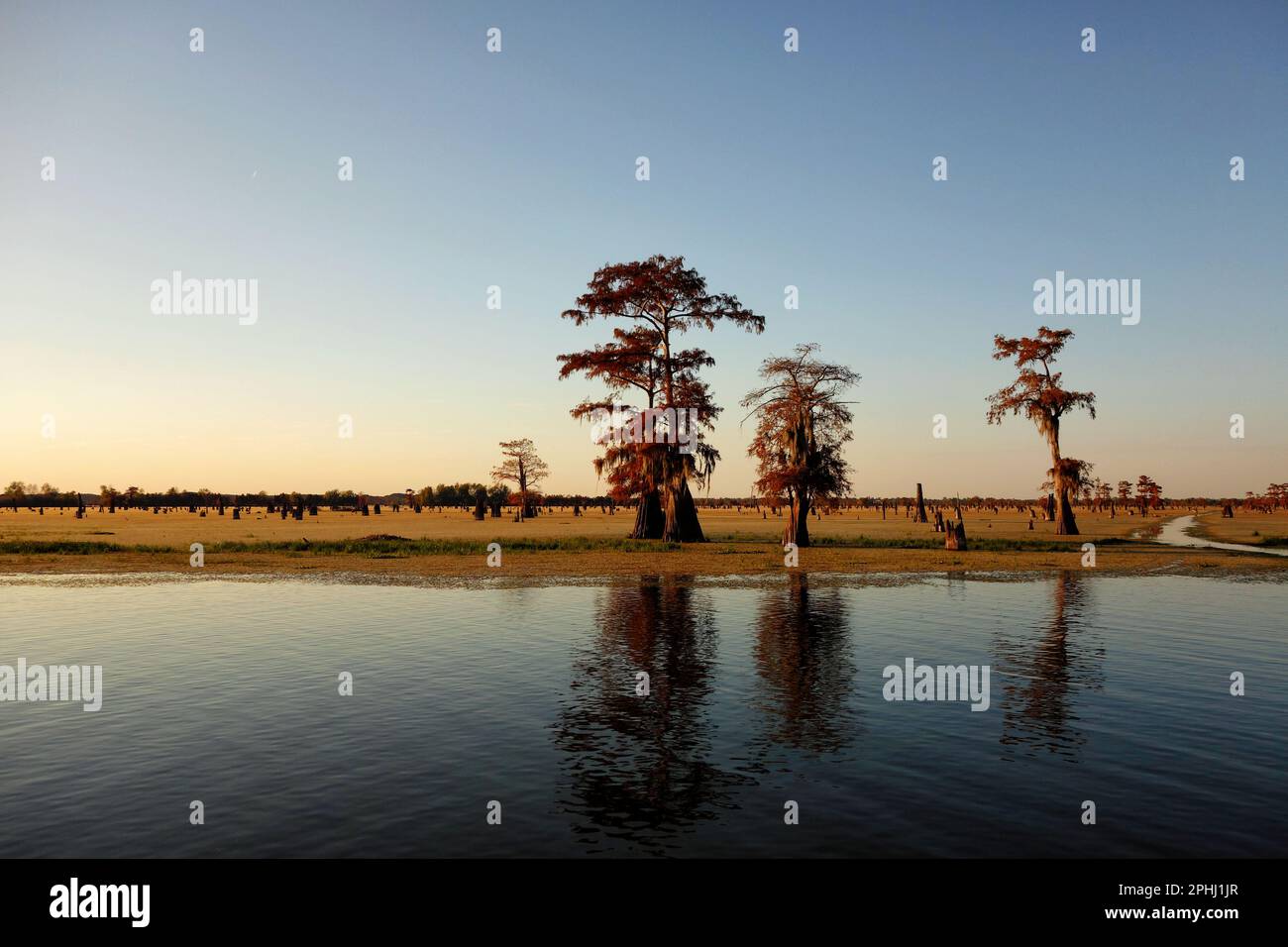 Bayou und Zypressen bei Sonnenuntergang in der Nähe von Henderson, Louisiana. Teil des Atchafalaya-Beckens. Stockfoto