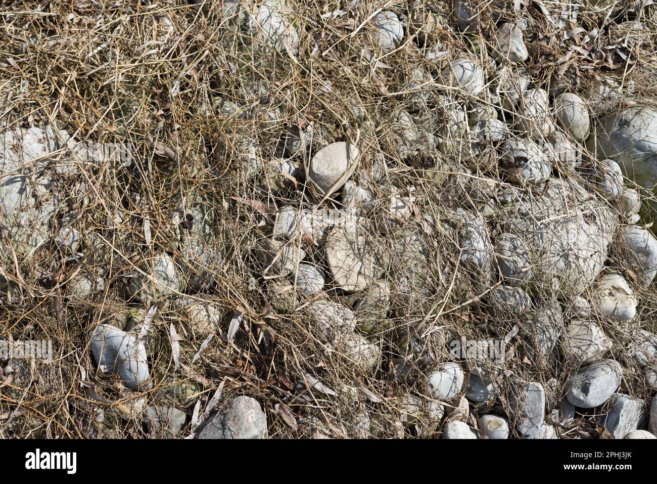 Getrocknetes Gras auf großen abgerundeten Steinen Stockfoto