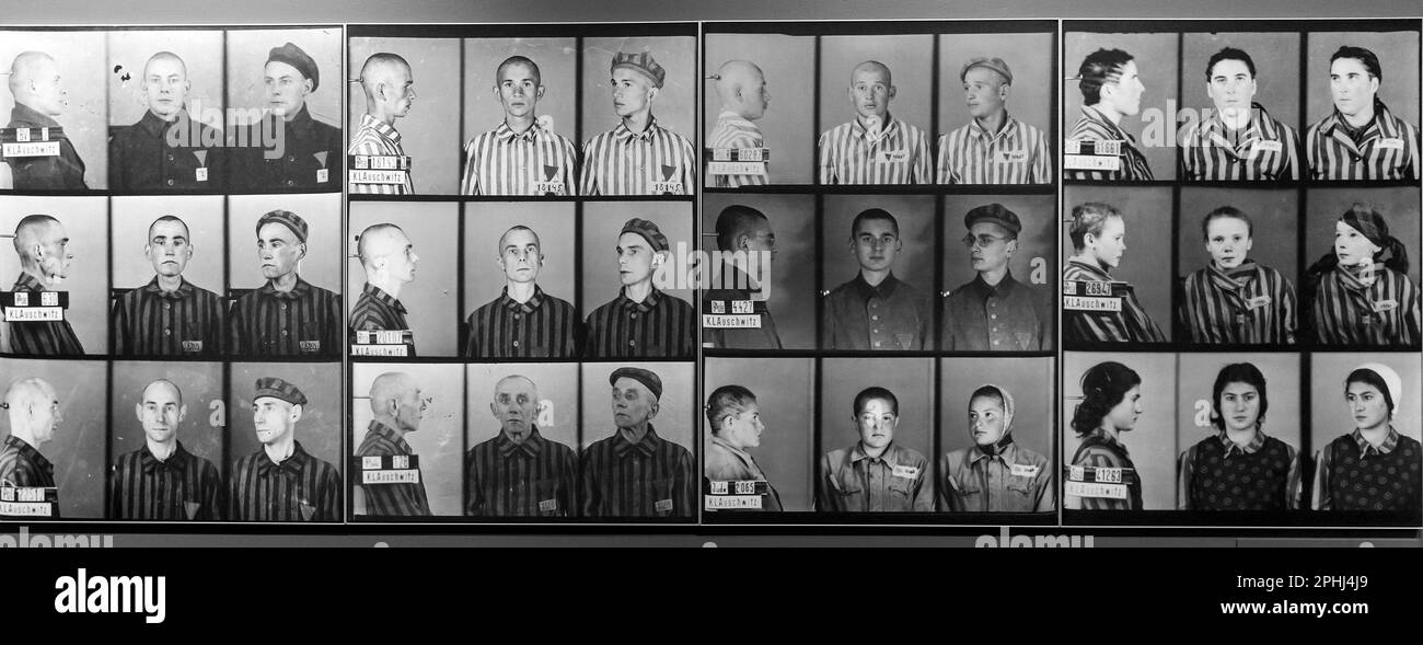 Simi Valley, Kalifornien, USA. 28. März 2023. Verbrecherfotos von Gefangenen, Teil von Auschwitz. Vor Nicht Allzu Langer Zeit. Nicht Weit Weg.'' Die Ausstellung über die Gräueltaten des Holocaust ist bis zum 13. August 2023 in der Ronald Reagan Presidential Library and Museum für die Öffentlichkeit zugänglich. Mehr als 700 Originalobjekte und 400 Fotografien von über 20 Institutionen und Museen aus der ganzen Welt sind zu sehen. (Kreditbild: © Brian Cahn/ZUMA Press Wire) NUR REDAKTIONELLE VERWENDUNG! Nicht für den kommerziellen GEBRAUCH! Stockfoto