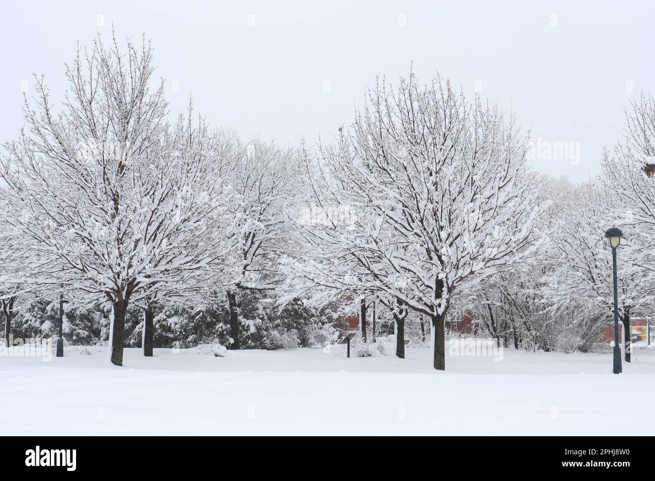 Städtischer Stadtpark St-Henri Montreal schneebedeckt dezember 2022 Stockfoto