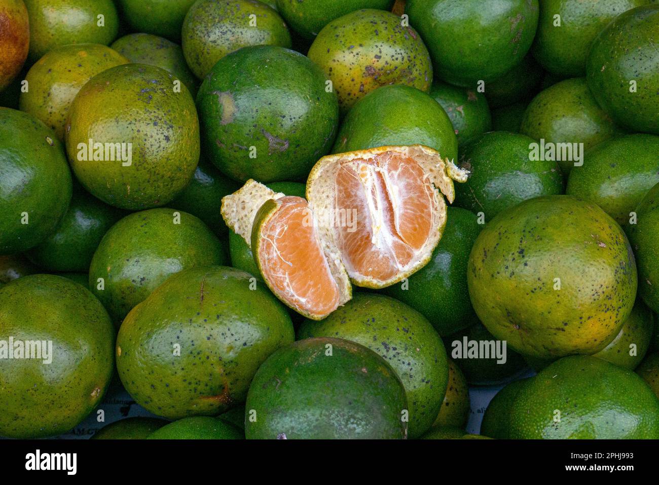 Ein Haufen grüne Orangen im Supermarkt Stockfoto