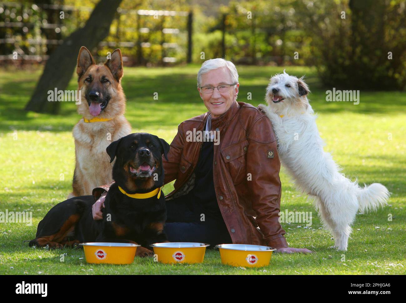 REDAKTIONELLE USE ONLY File Foto vom 07.05/13 von Paul O'Grady mit Rettungshunden Razor A German Shepherd, Moose A Rottweiler und Dodger A Terrier im Londoner Battersea Park. Der Fernsehmoderator und Komiker Paul O'Grady ist im Alter von 67 Jahren gestorben, sagte sein Partner Andre Portasio. Der Fernsehstar, auch bekannt für seine Drag-Queen-Persönlichkeit Lily Savage, starb „unerwartet, aber friedlich“ am Dienstagabend, eine Erklärung, die der PA-Nachrichtenagentur über einen Repräsentanten mitgeteilt wurde. Ausgabedatum: Mittwoch, 29. März 2023. Stockfoto