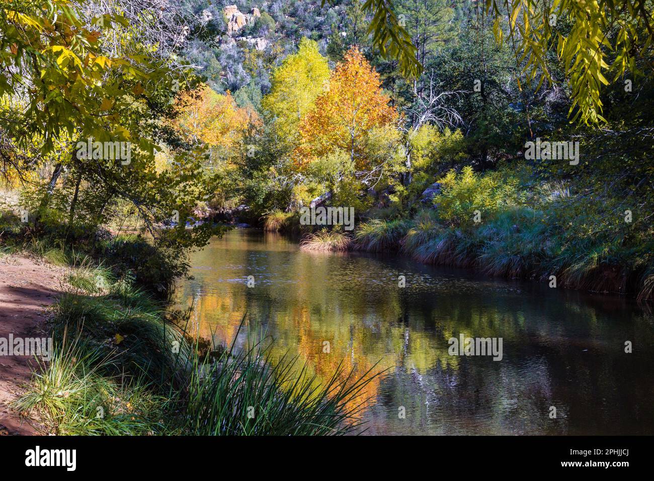 Eine bunte Herbstszene flussaufwärts von der First Crossing of Ellison Creek bei Payson, Arizona. Stockfoto