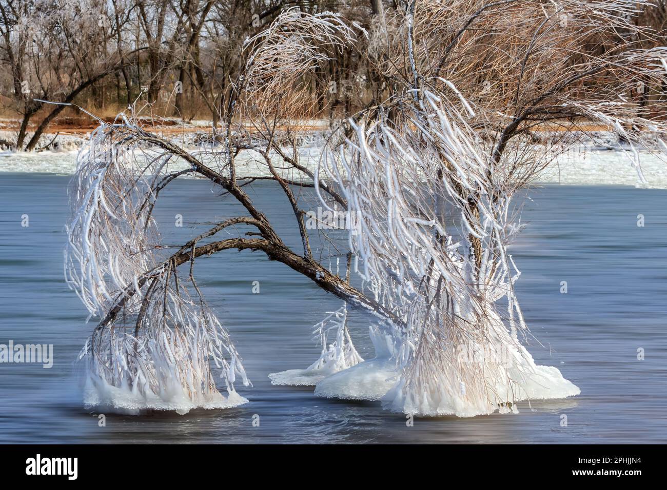 Eisiger Morgen am Lake Hefner in Oklahoma City, OK, USA Stockfoto
