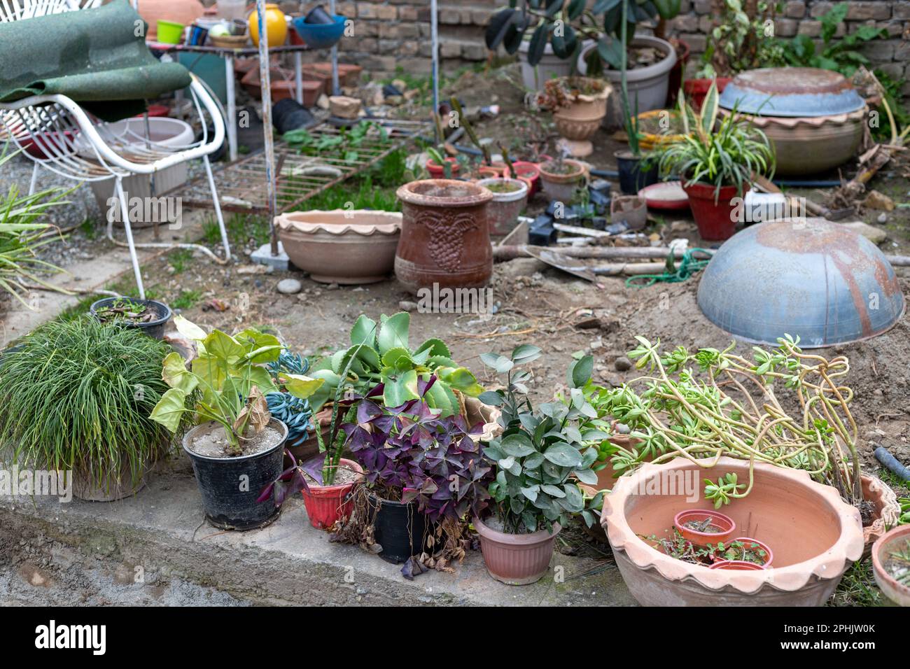 Unordentlicher Hausgartenabschnitt für die Pflanzenstichung und Gartenarbeit Stockfoto