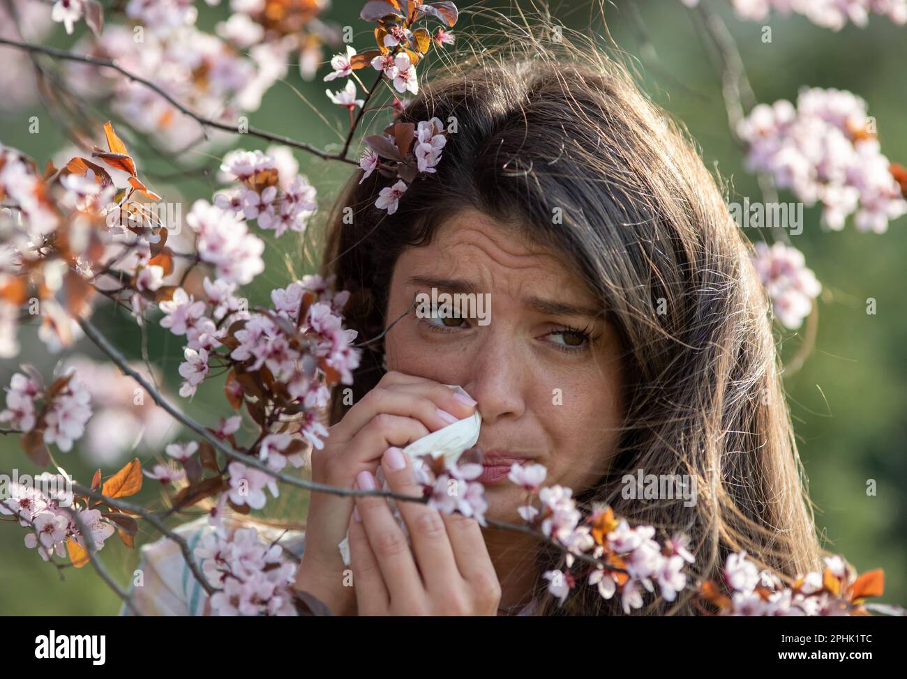 Hübsche junge Frau, die im Frühjahr die Nase abwischte und Allergiesymptome von blühenden Baumpollen hatte Stockfoto