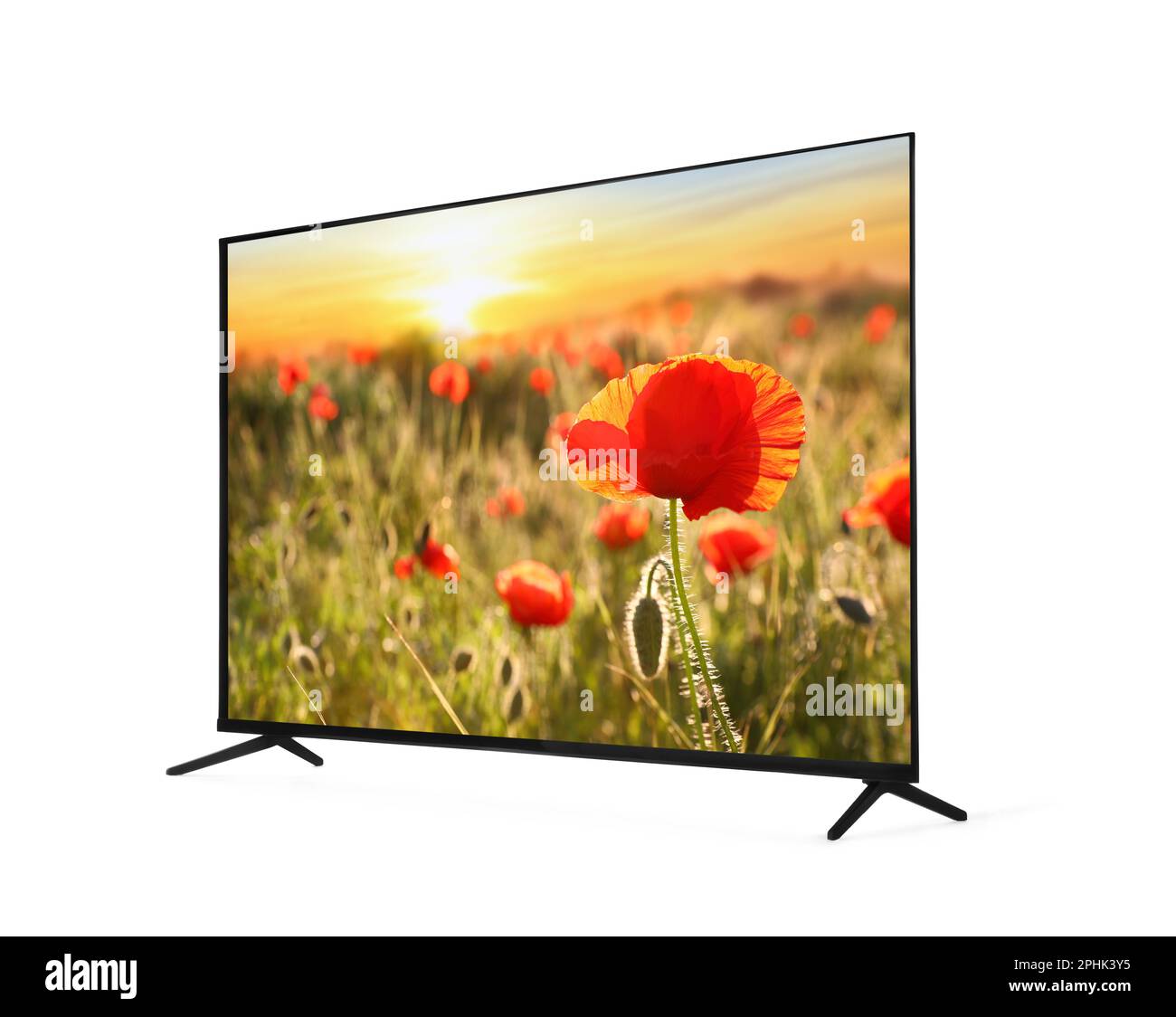 Moderner Breitbildmonitor, auf dem wunderschöne Mohnblumen im Feld bei Sonnenuntergang isoliert auf Weiß zu sehen sind Stockfoto