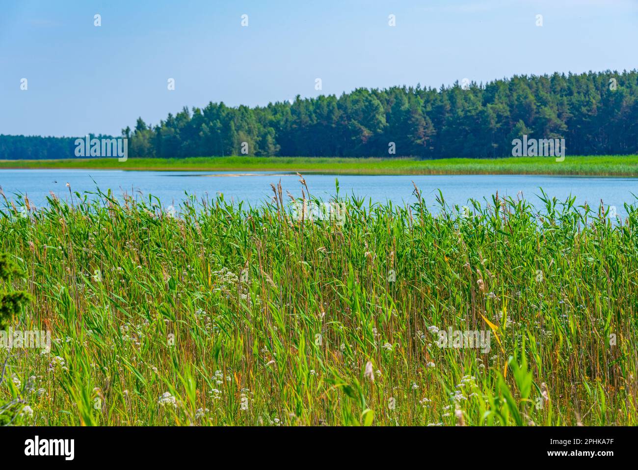 Naturlandschaft der Halbinsel Kiipsaare in Estland. Stockfoto