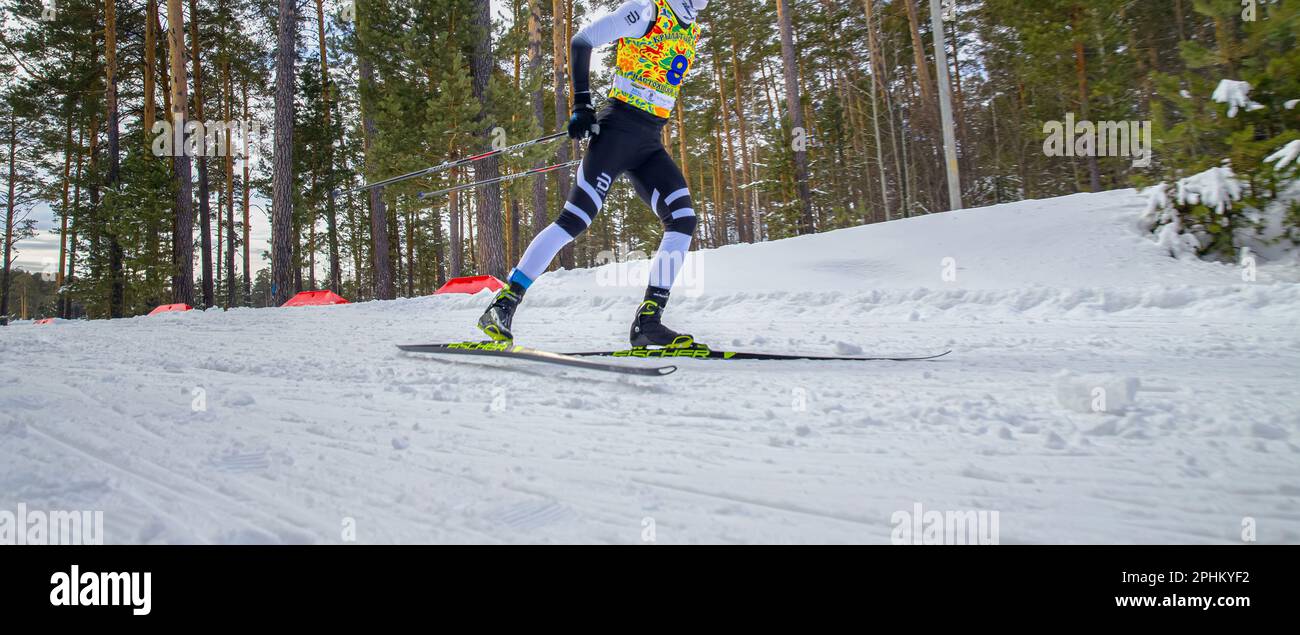 Männlicher Sportler beim Skilanglauf, Fischer Rennskier, wintersport der olympischen spiele, Editorial Photo Stockfoto