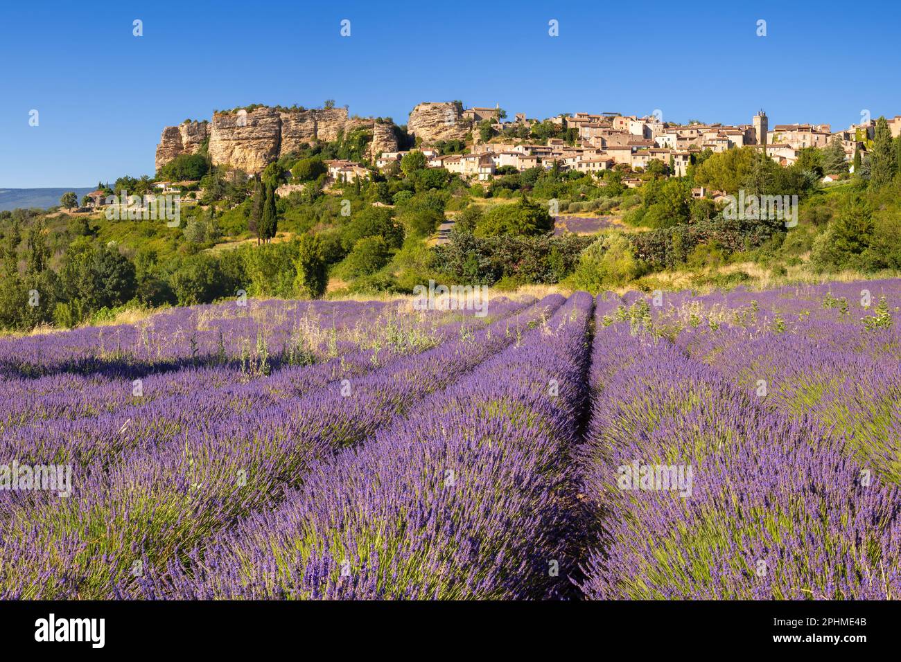 Das Dorf Saignon in der Provence mit Lavendelfeld im Sommer. Vaucluse, Frankreich Stockfoto