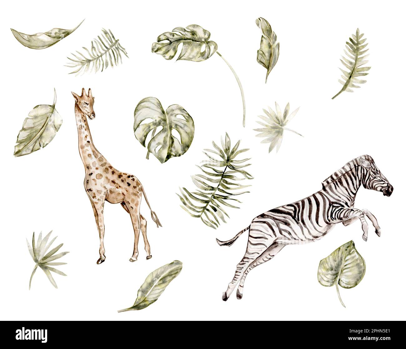 Von Hand gemalte Aquarelle von den Dschungeltieren und eine Palmenbrust auf weißem Hintergrund. Perfekt zum Dekorieren von Kinderkrippen, Stockfoto