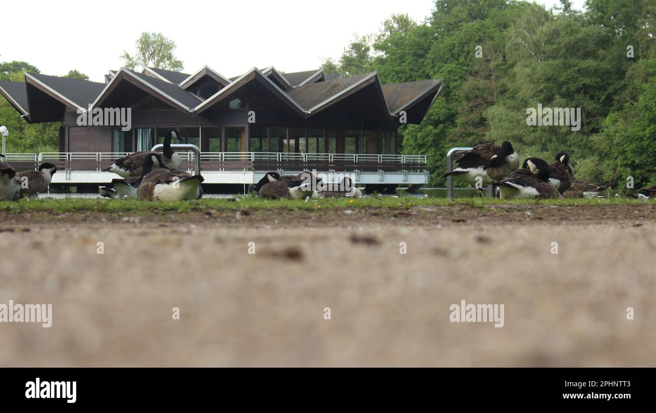 Westfalen Park, Dortmund, Deutschland Stockfoto