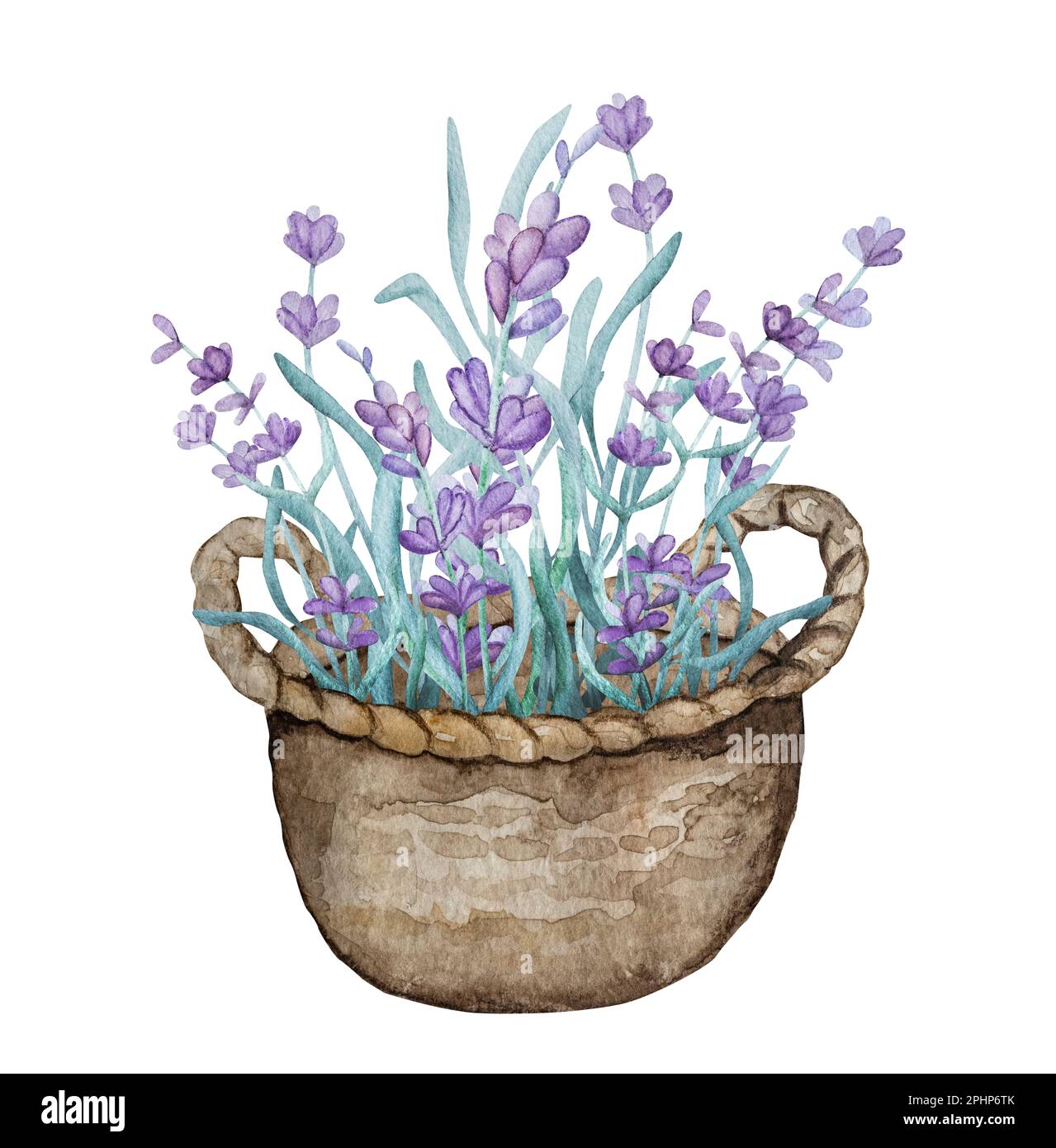 Wunderschöner lavendelfarbener provence-Bouquet im Korb, Aquarell-Illustration für Postkartendesign. Lila Blütenzusammensetzung Aquarelle-Zeichnung Stockfoto