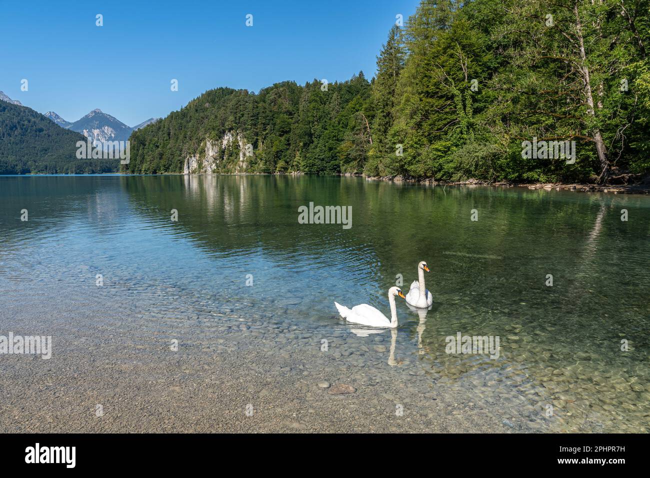Schöner Bergsee Alpsee in der Nähe von Schloss Neuschwanstein, Bayern, Deutschland Stockfoto