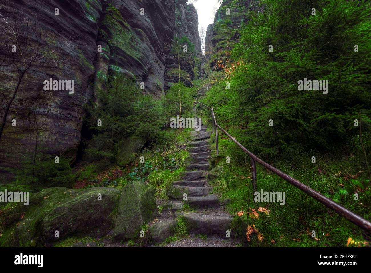 Pfaffenstein, Sachsen, Schweiz, Sachsen, Deutschland Stockfoto