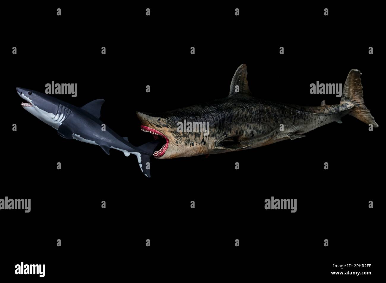 Megalodon (Mofun, 2018) hat vermutlich eine Länge von bis zu 59 Metern erreicht – eines der größten und mächtigsten Raubtiere, die diese Welt je gesehen hat. Stockfoto