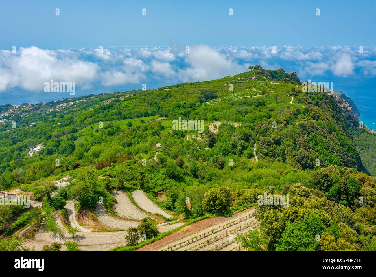 Landwirtschaftliche Landschaft von Ischia, Italien. Stockfoto