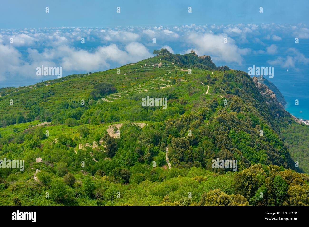 Landwirtschaftliche Landschaft von Ischia, Italien. Stockfoto