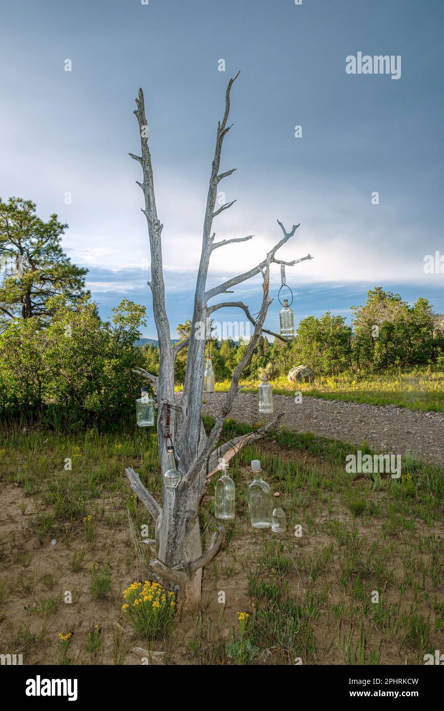 Zur Dekoration hängen Flaschen an den Ästen eines toten Wacholderbaums in den Bergen von Nord-New Mexico, USA. Stockfoto