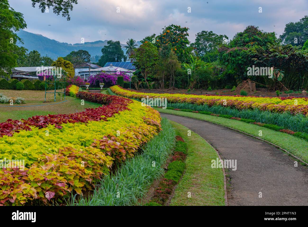 Königlicher botanischer Gardwen in Kandy, Sri Lanka. Stockfoto