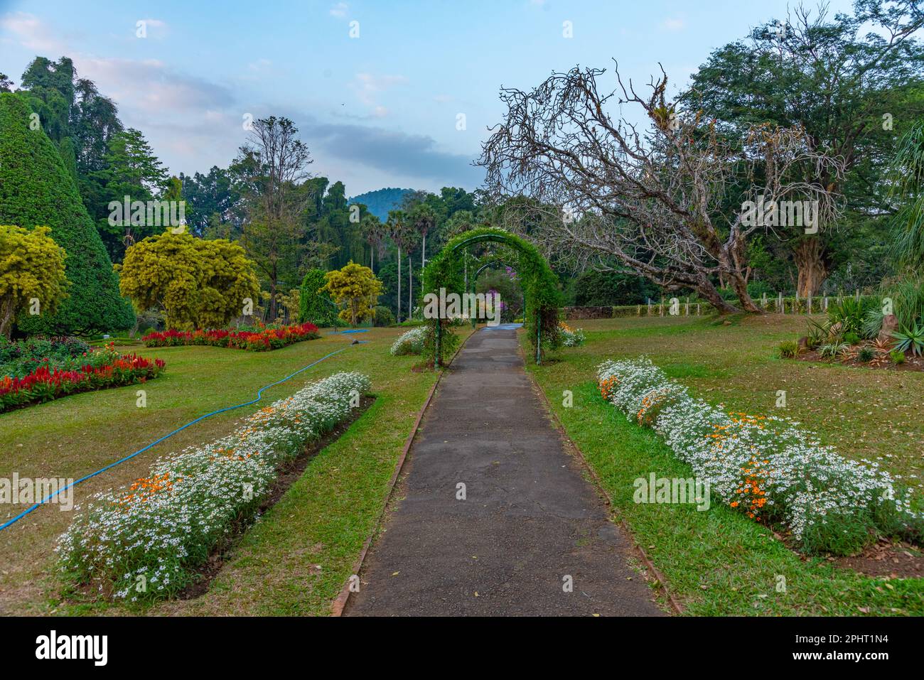 Königlicher botanischer Gardwen in Kandy, Sri Lanka. Stockfoto