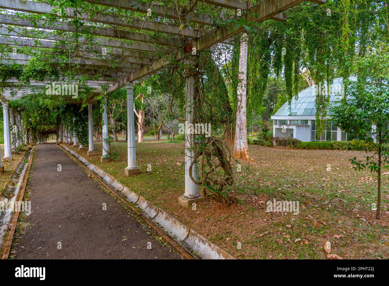 Königlicher botanischer Gardwen in Kandy, Sri Lanka. Stockfoto