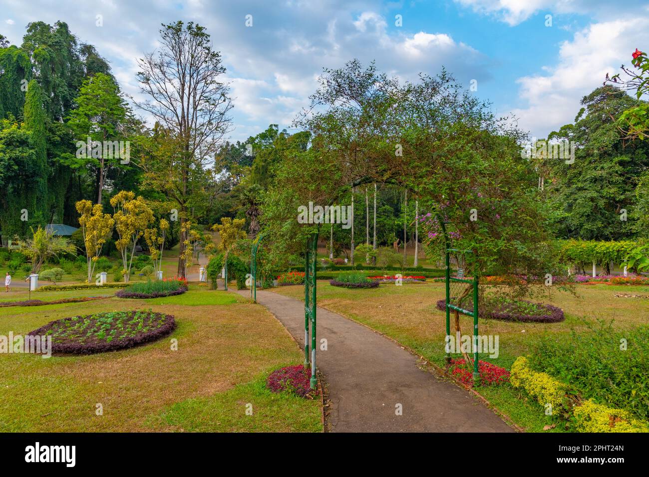 Königlicher botanischer Gardwen in Kandy, Sri Lanka. Stockfoto