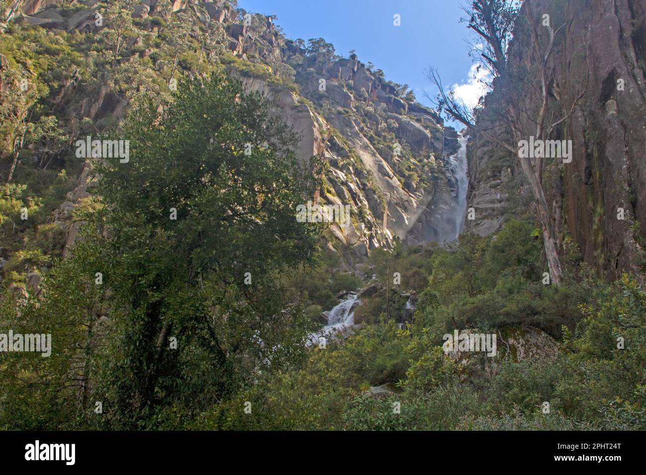 Die Crystal Brook Falls strömen in die Schlucht auf dem Mount Buffalo Stockfoto