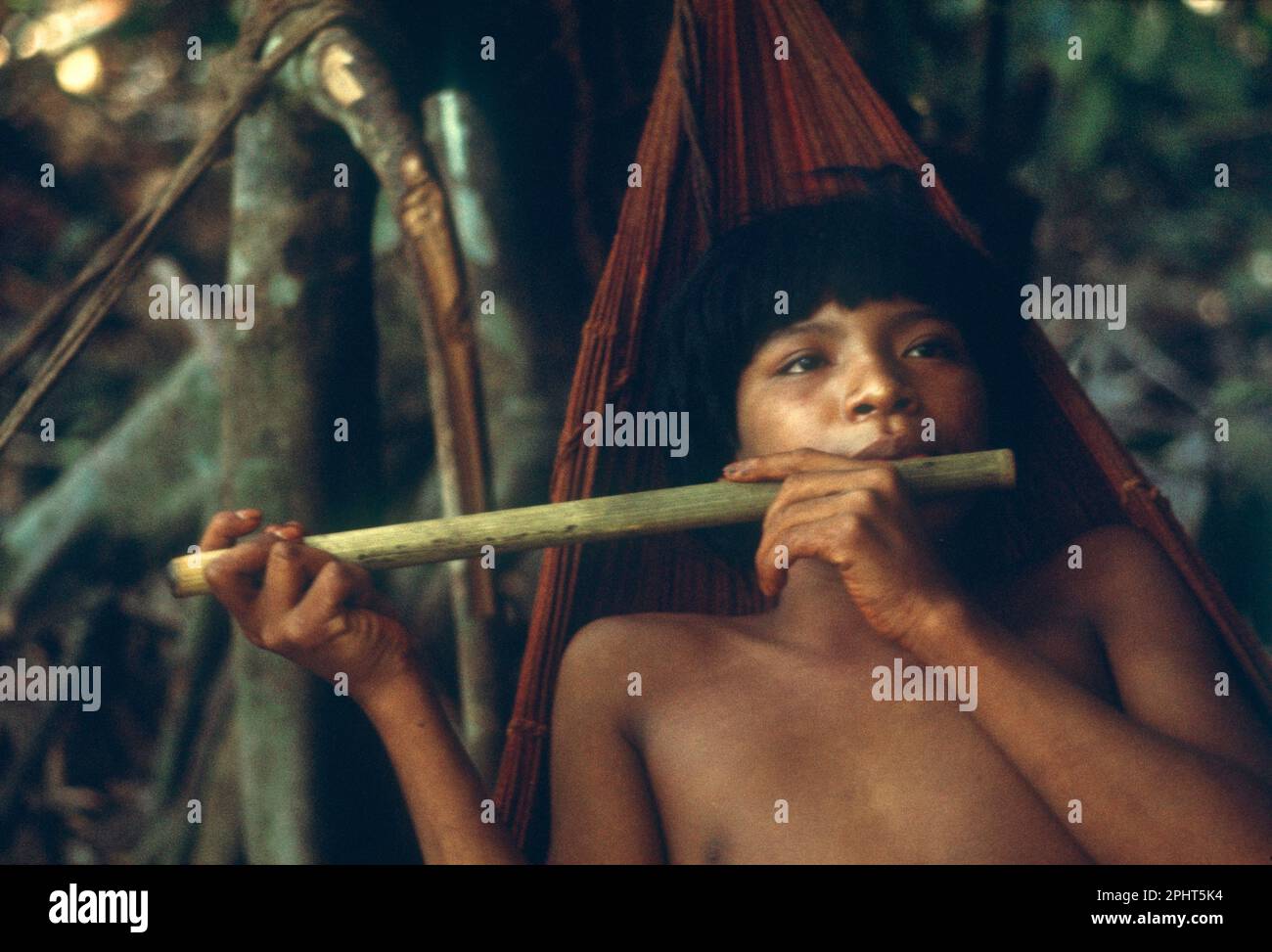 Südamerikanische Indianer: E'ñepa (Panare) junger Mann, der Flöte in der Hängematte spielt. Regenwald im Süden Venezuelas. (E'ñepa-Sprache gehört zur Familie der Karibaner) Stockfoto