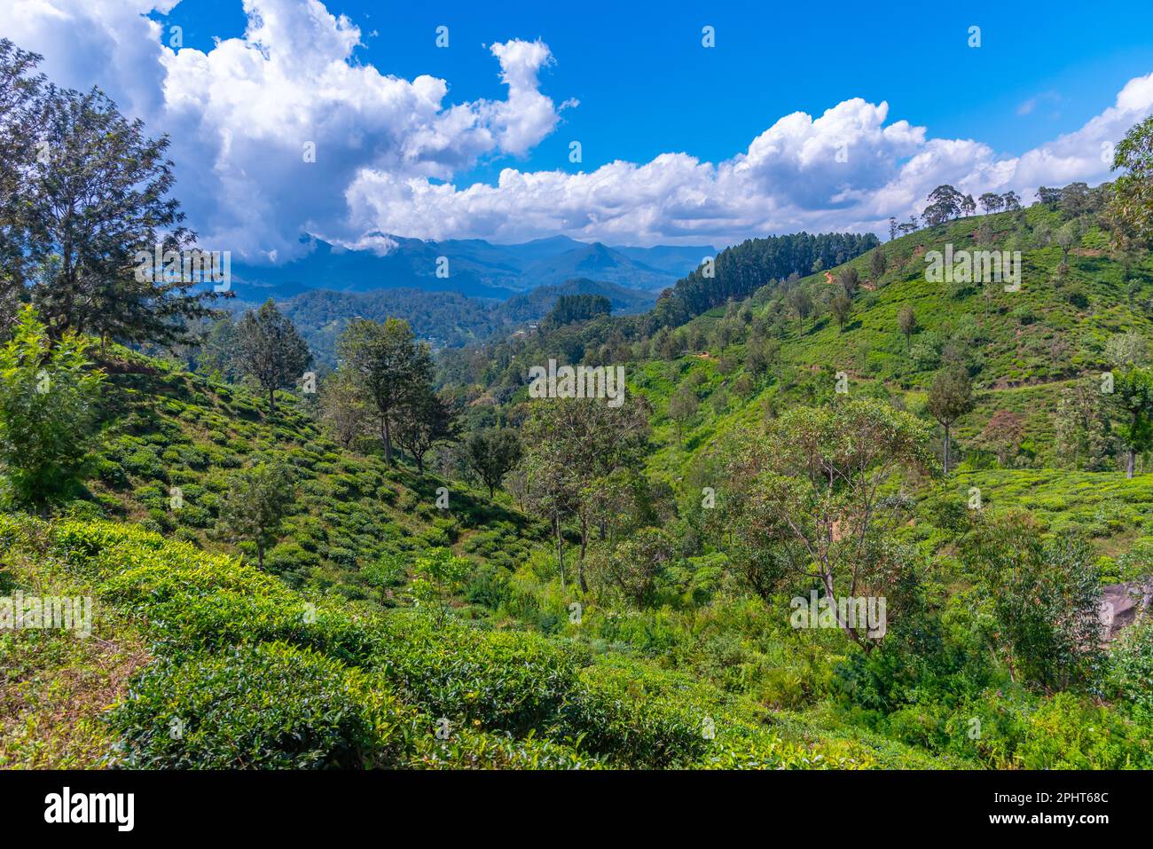 Hügelige Landschaft Sri Lankas mit Dörfern und Teeplantagen in der Nähe von Haputale. Stockfoto