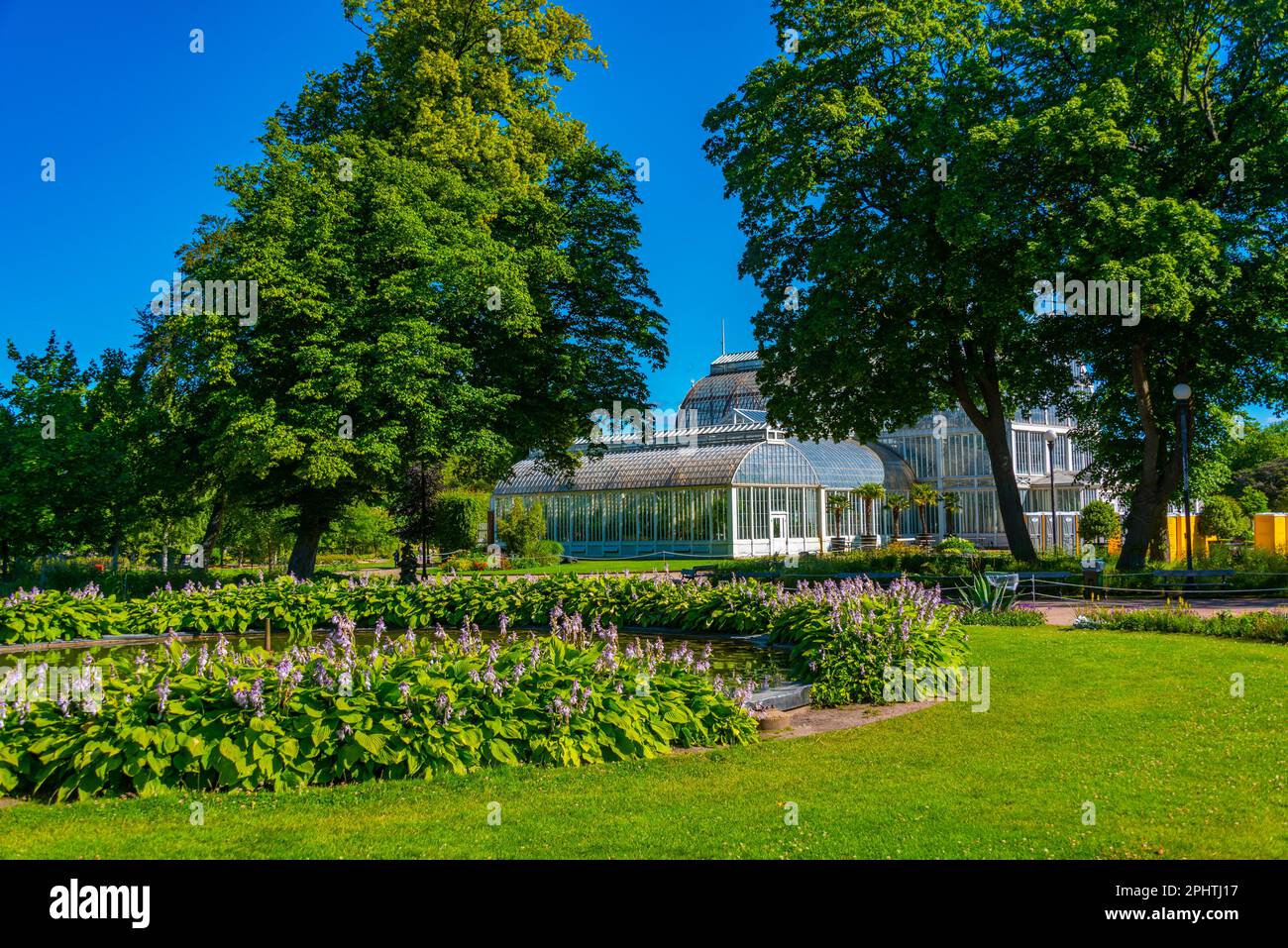 Das Palmenhaus der Gartengesellschaft Göteborg in Schweden. Stockfoto