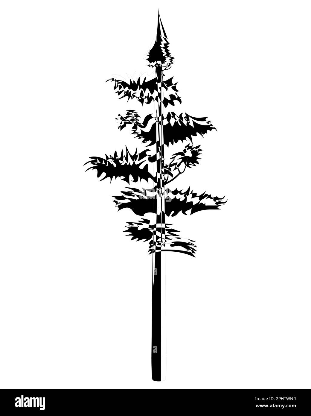 Tall Pine Tree im Umriss. Immergrüne Nadelholz-Fichte. Vektordarstellung auf weißem Hintergrund. Stock Vektor