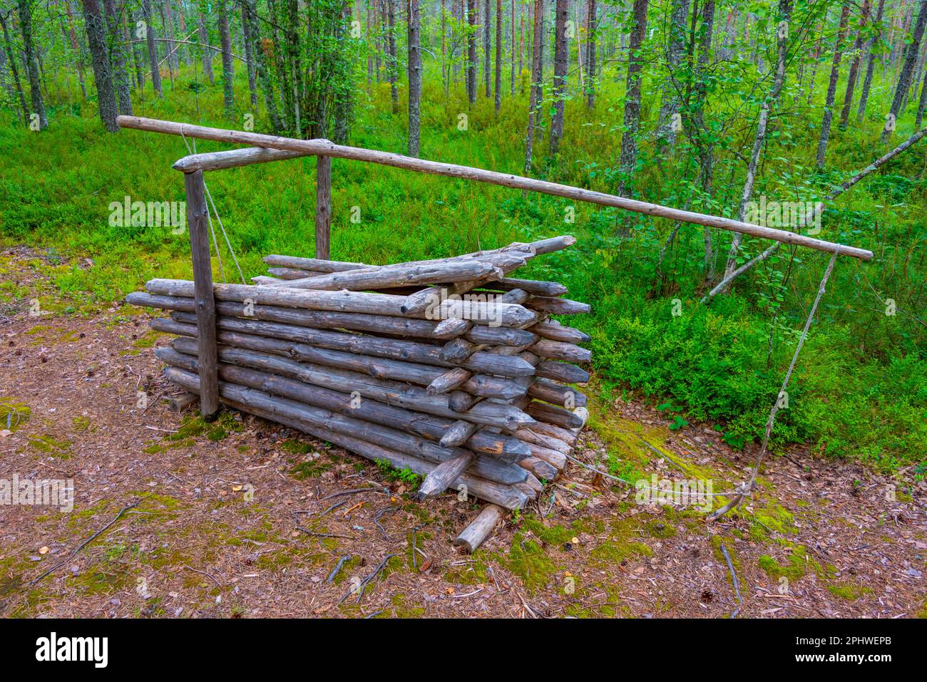 Jagdfallen im Kierikki Stone Age Centre in Finnland. Stockfoto