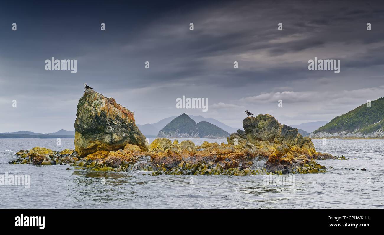 Rocky Inselchen und Stacks im Ozean bei Port Davey North Passage, Bathurst Harbour, South West National Park, Tasmanien, Australien Stockfoto