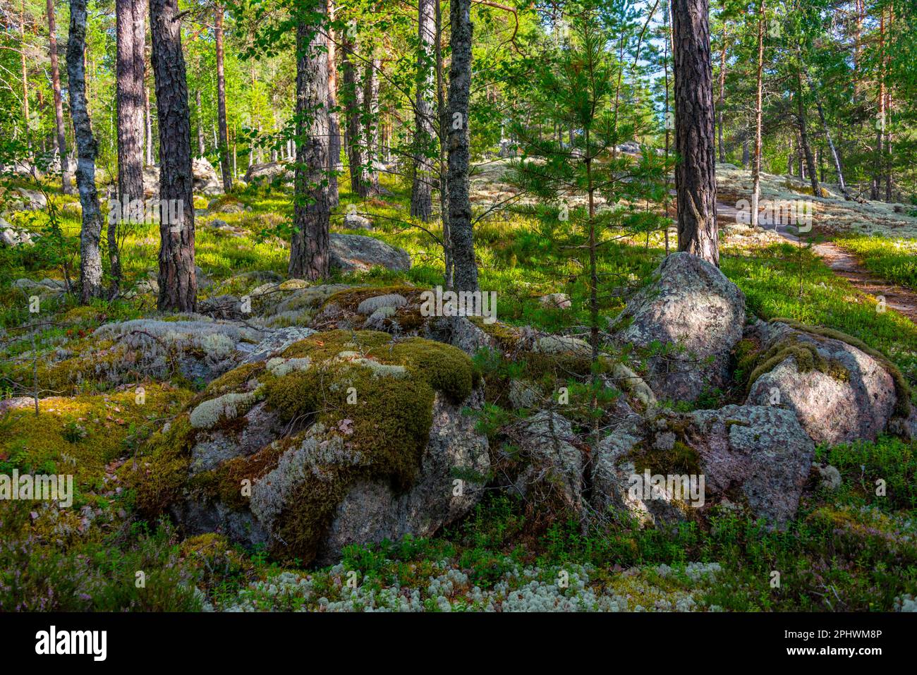 Sammallahdenmäki ist eine Grabstätte aus der Bronzezeit in Finnland in der Nähe von Rauma Stockfoto