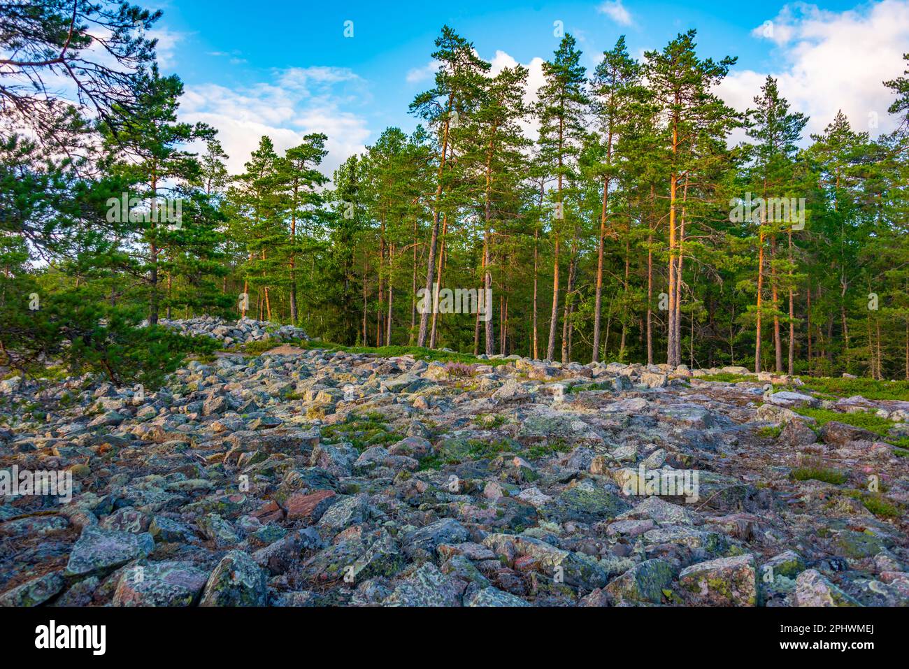 Sammallahdenmäki ist eine Grabstätte aus der Bronzezeit in Finnland in der Nähe von Rauma Stockfoto