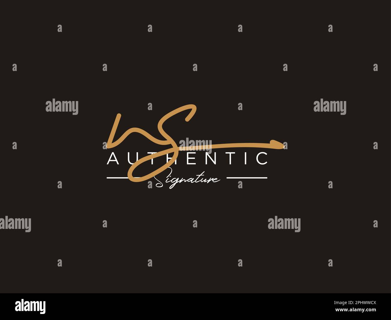 Letter NS Signature Logo Template Vektor Stock Vektor